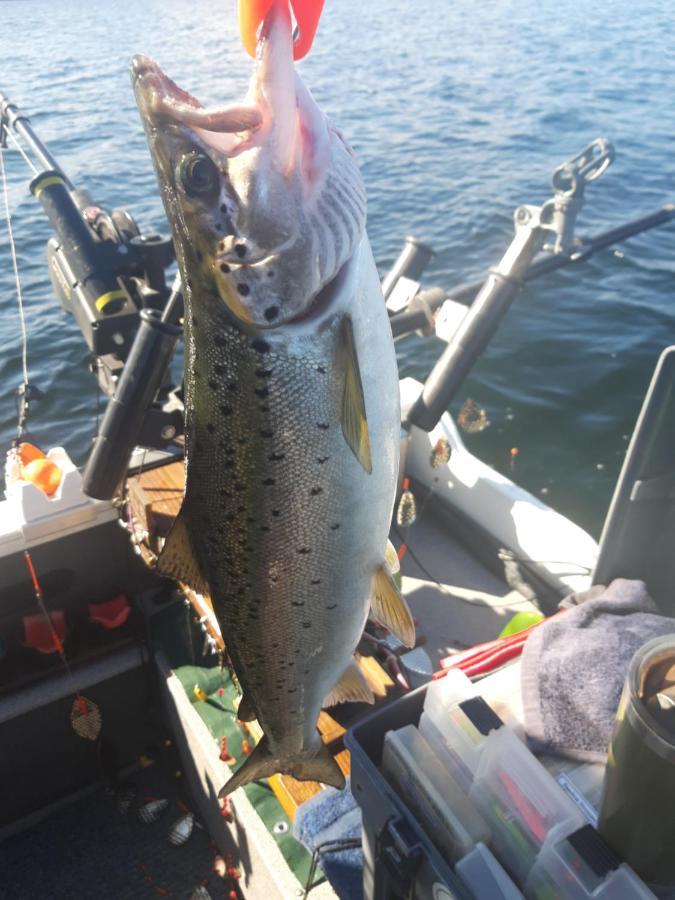 Rangeley Town & Lake المظهر الخارجي الصورة