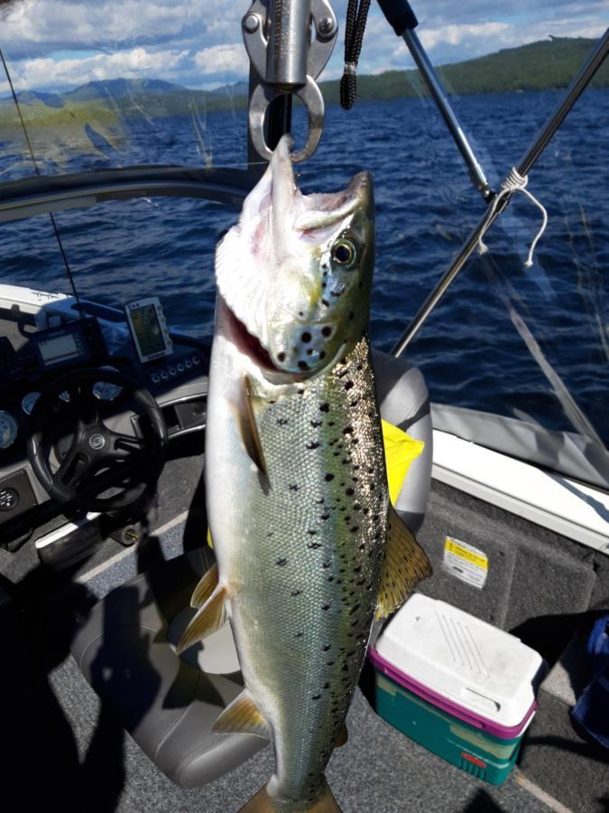 Rangeley Town & Lake المظهر الخارجي الصورة