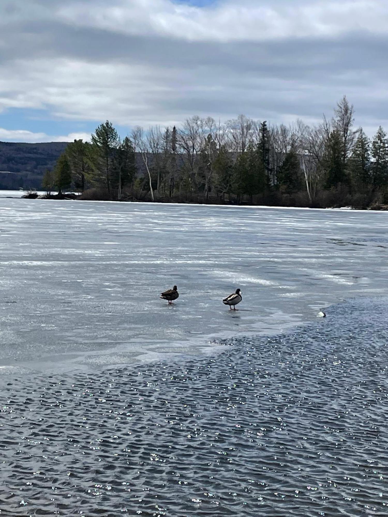 Rangeley Town & Lake المظهر الخارجي الصورة